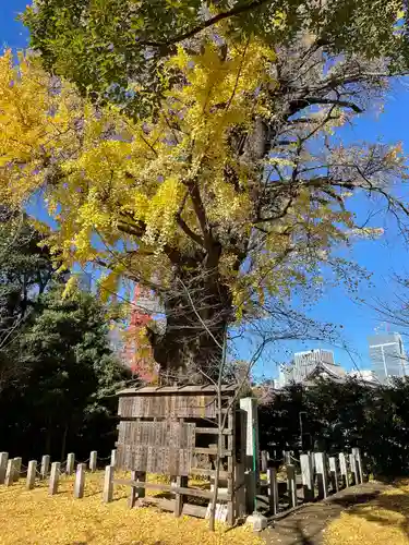 芝東照宮の自然