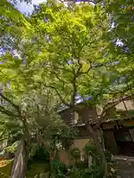 法観寺(京都府)