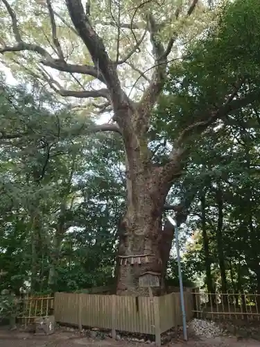 船江上社の建物その他