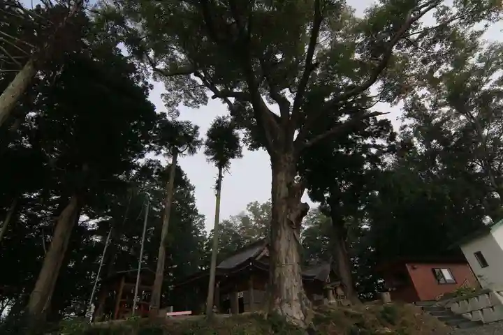 阿久津「田村神社」(郡山市阿久津町)旧社名:伊豆箱根三嶋三社の本殿・本堂