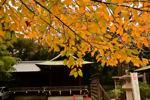渋谷氷川神社のその他建物