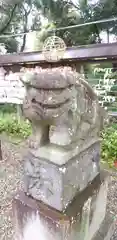 菊田神社の狛犬