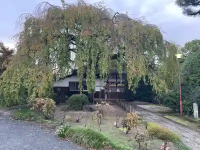 本満寺(本願満足寺)(京都府)