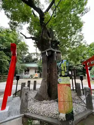 新田神社(東京都)