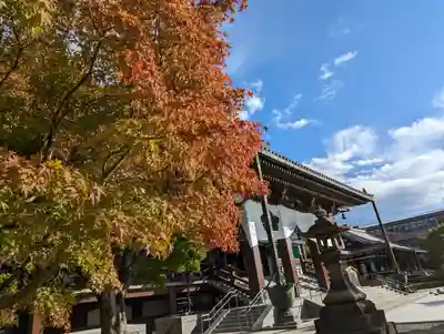  智積院(京都府)