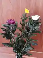 伏木香取神社の自然