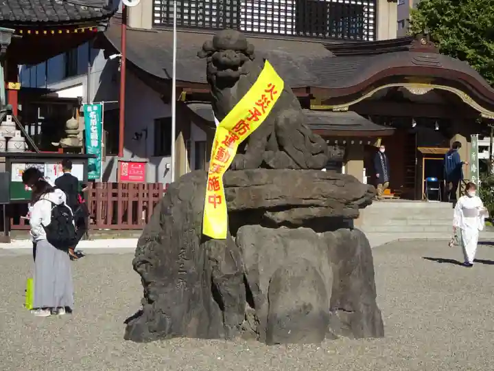 浅草神社の狛犬
