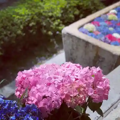 伊勢の国 四天王寺の手水舎