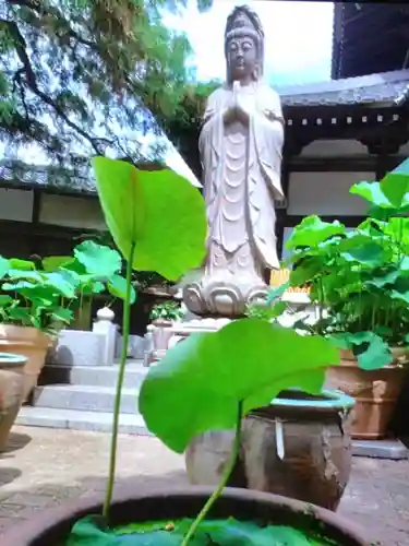 宗延寺(東京都)