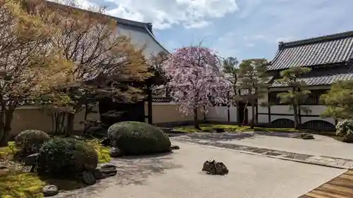 妙顯寺（妙顕寺）の庭園