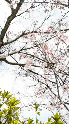 霊山観音(京都府)