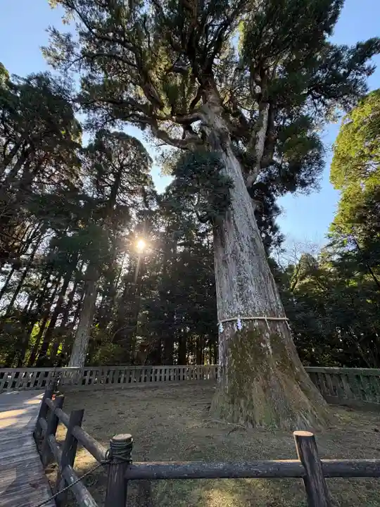 霧島神宮(鹿児島県)