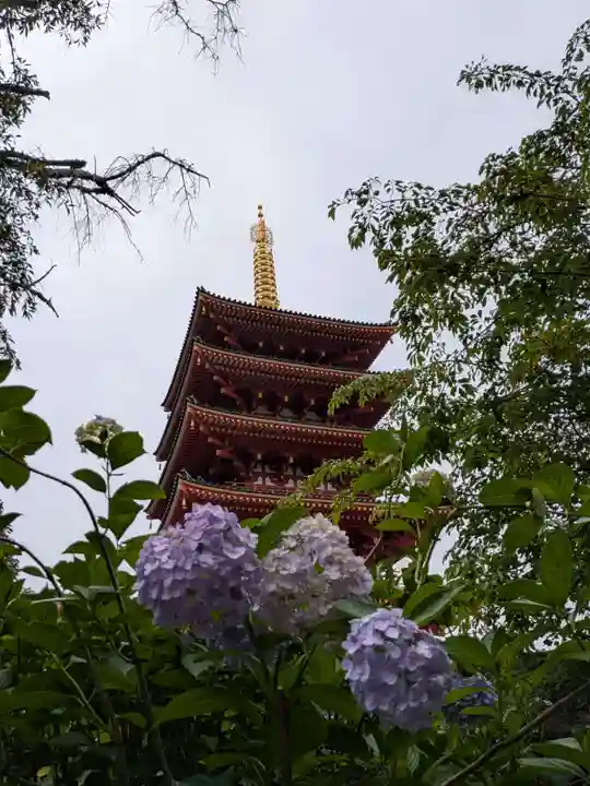 高幡不動尊 金剛寺(東京都)