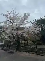 円覚寺の{uncategorized: "未分類", other: "その他", undefined: "問題あり", building: "その他建物", grave: "お墓", sacred_gate: "鳥居", guardian: "狛犬", statue: "像", buddha: "仏像", history: "歴史", nature: "自然", garden: "庭園", animal: "動物", pagoda: "塔", temizu: "手水舎", mountain_gate: "山門・神門", sanctuary: "本殿・本堂", subordinate: "末社・摂社", art: "芸術", scenery: "景色", jizo: "地蔵", ema: "絵馬", goshuin: "御朱印", omikuji: "おみくじ", items: "授与品その他", amulet: "お守り", goshuincho: "御朱印帳", eats: "食事", festival: "お祭り", votive_dance: "神楽", shichigosan: "七五三参", wedding: "結婚式", experience: "体験その他", initially: "初詣", around: "周辺", anti_infection: "感染症対策"}