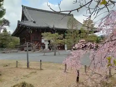 清凉寺(京都府)
