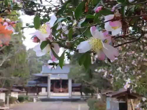 中山神社の建物その他