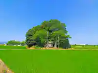 富士社(込野富士社)のその他建物