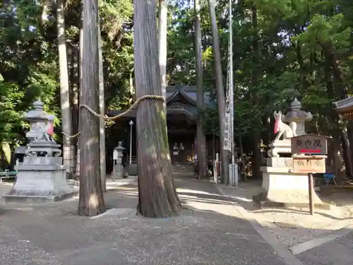 豊川閣　妙厳寺の自然