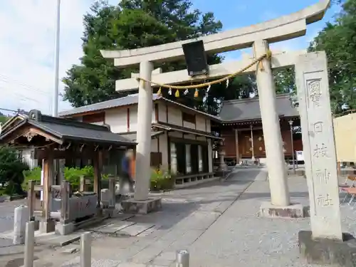 日枝神社の鳥居