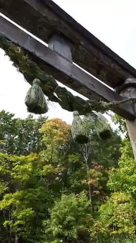 樽岸稲荷神社の鳥居