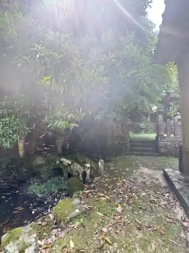 諸杉神社(兵庫県)