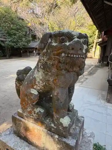 櫻井神社(福岡県)