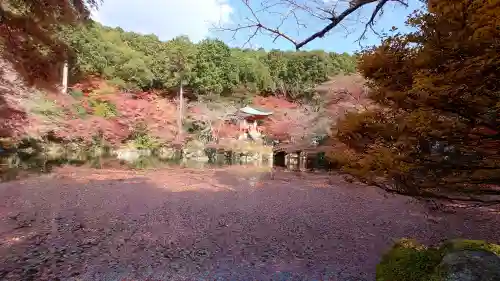 醍醐寺の{uncategorized: "未分類", other: "その他", undefined: "問題あり", building: "その他建物", grave: "お墓", sacred_gate: "鳥居", guardian: "狛犬", statue: "像", buddha: "仏像", history: "歴史", nature: "自然", garden: "庭園", animal: "動物", pagoda: "塔", temizu: "手水舎", mountain_gate: "山門・神門", sanctuary: "本殿・本堂", subordinate: "末社・摂社", art: "芸術", scenery: "景色", jizo: "地蔵", ema: "絵馬", goshuin: "御朱印", omikuji: "おみくじ", items: "授与品その他", amulet: "お守り", goshuincho: "御朱印帳", eats: "食事", festival: "お祭り", votive_dance: "神楽", shichigosan: "七五三参", wedding: "結婚式", experience: "体験その他", initially: "初詣", around: "周辺", anti_infection: "感染症対策"}