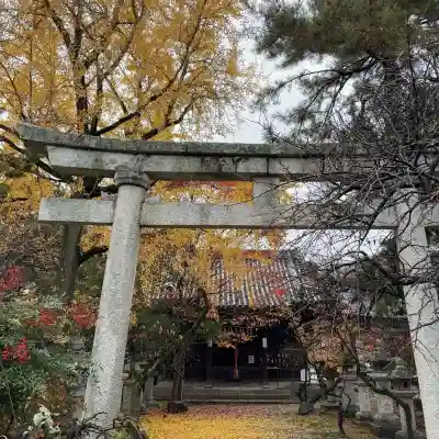長浜八幡宮(滋賀県)