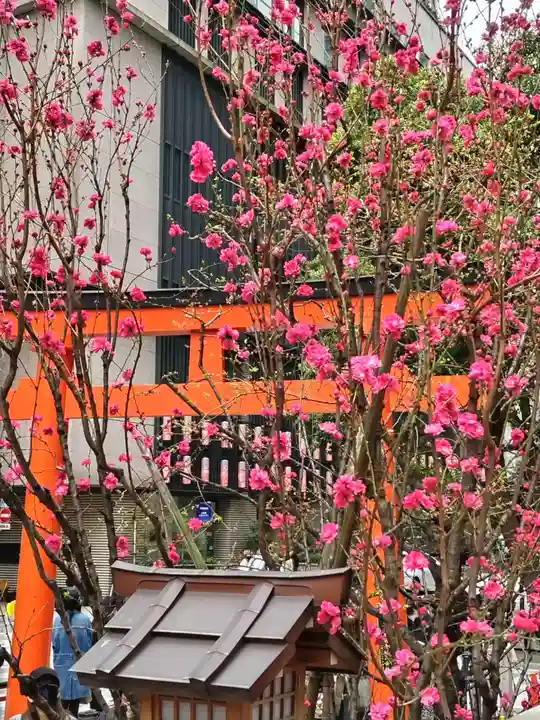 福徳神社(芽吹稲荷)の自然