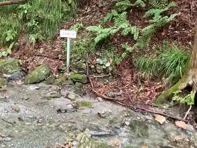 聖神社(埼玉県)