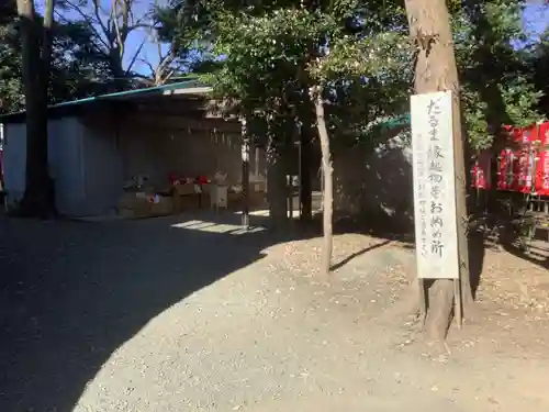 五社稲荷社の自然