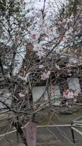 平野神社(京都府)