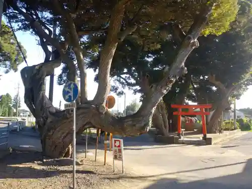 道路衢神の自然