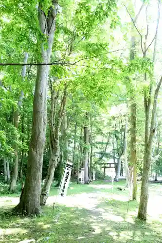 大沼駒ケ岳神社(北海道)