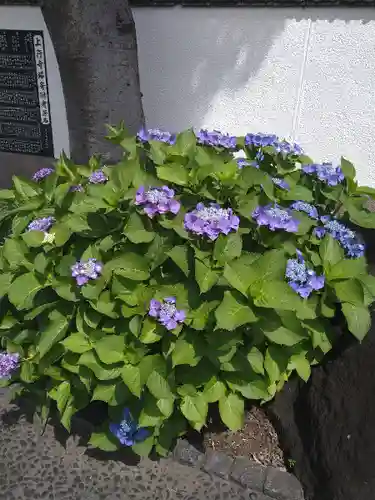 上行寺(神奈川県)