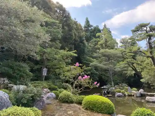 知恩院(京都府)