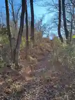 雷電神社 奥の院(助戸東山町)(栃木県)