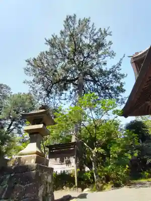 御穂神社の自然