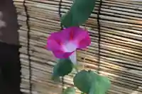 阿邪訶根神社の芸術