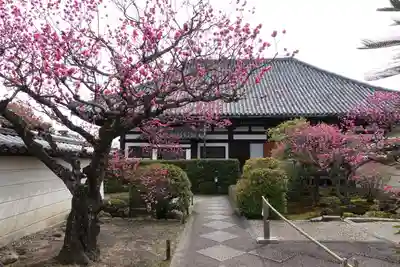 法華寺のその他建物