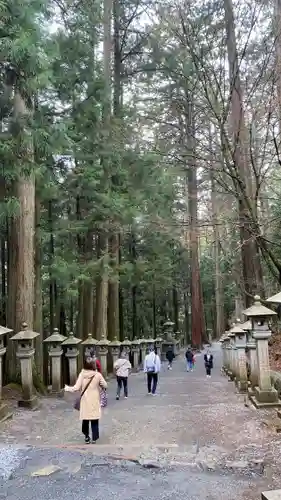 三峯神社(埼玉県)