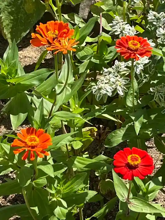 大鏑神社(福島県)