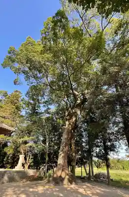 豊津神社(福岡県)