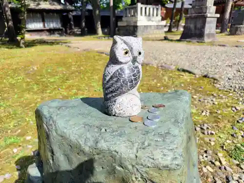 上川神社の狛犬