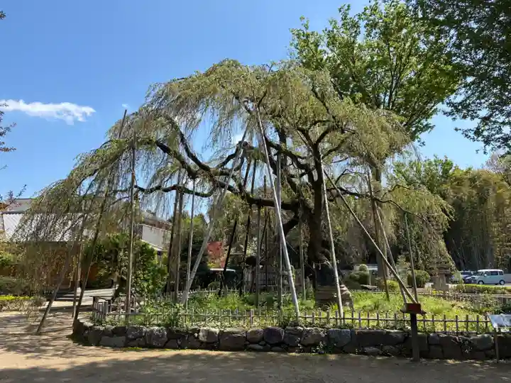 清瀧院(千葉県)