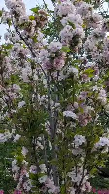 六孫王神社(京都府)