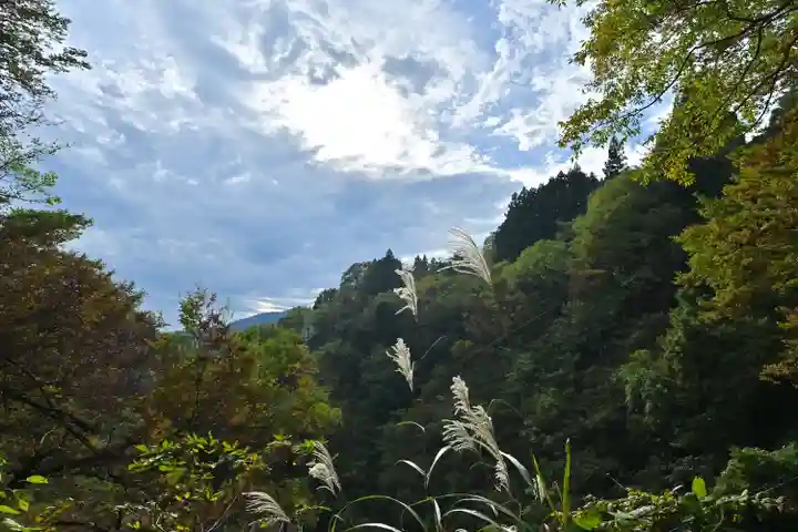 高龍神社(新潟県)