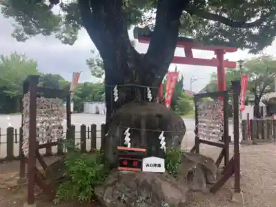 代継宮(熊本県)