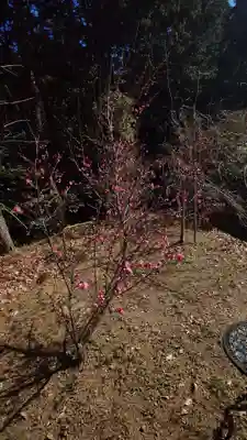 矢奈比賣神社（見付天神）(静岡県)