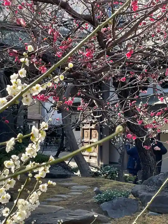 湯島天満宮(東京都)